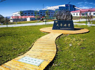 东方天华矿业集团
